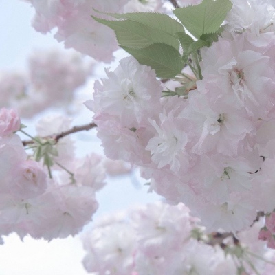 Furry绘画原创思路福瑞交流群